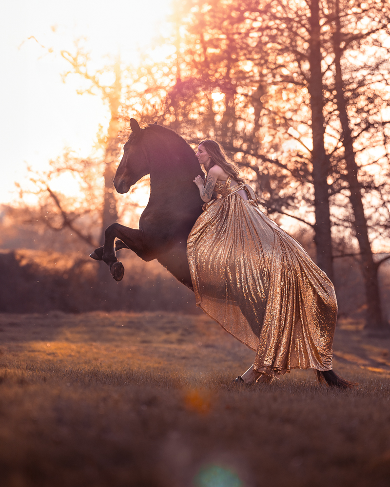 Eine Frau in einem goldenen Kleid reitet ein aufgerichtetes schwarzes Pferd bei Sonnenuntergang.