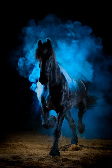 Schwarzes Pferd vor blauem Rauch auf dunklem Hintergrund.