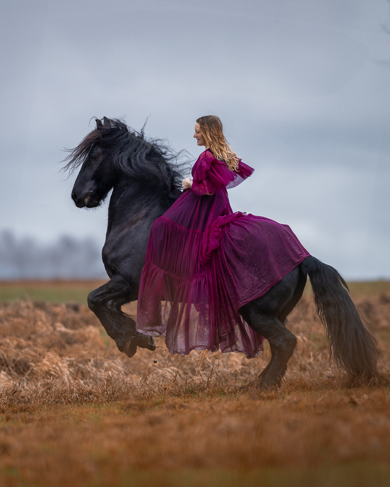 Eine Frau in einem langen, lila Kleid reitet auf einem schwarzen Pferd.
