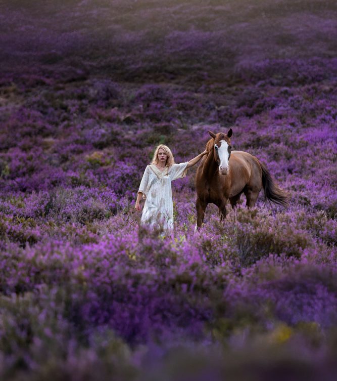 Die Heide blüht Eine Frau in einem weißen Kleid mit Pferd in der Heide