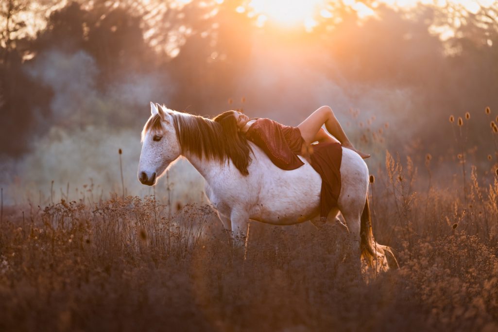 Eine Person liegt auf einem weißen Pferd, umgeben von goldenen Sonnenstrahlen und Wiese.