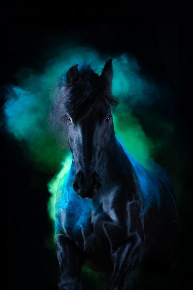 Schwarzes Pferd mit buntem, nebligem Hintergrund in Blau- und Grüntönen.